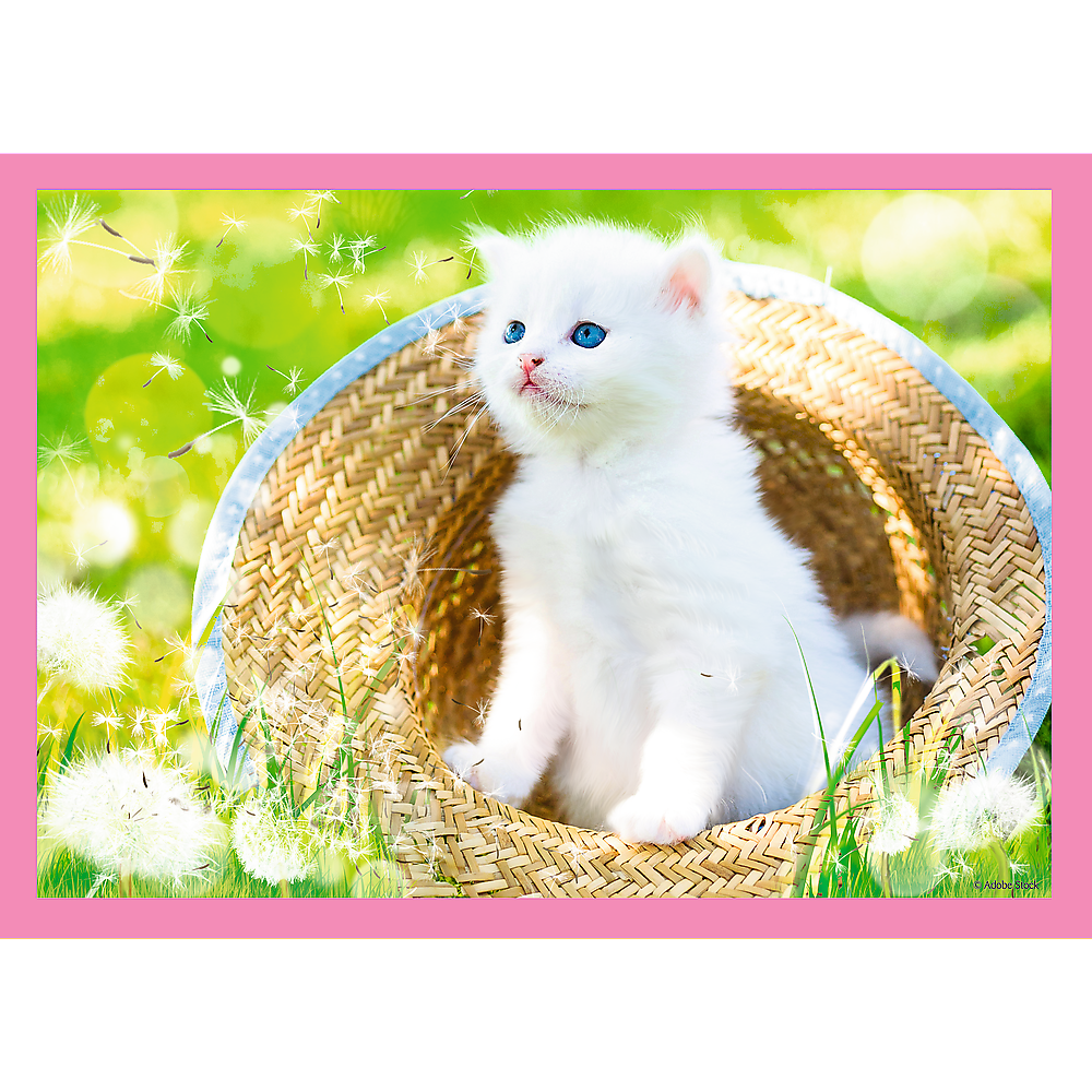 Preschool 4 in 1 Puzzle - Fun cats