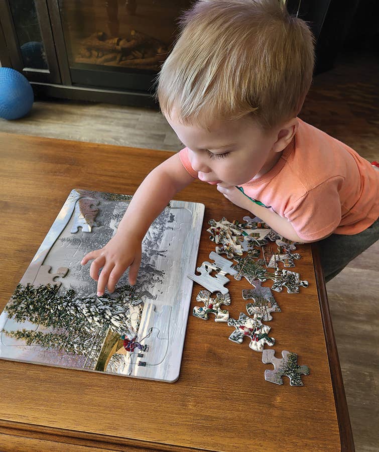 Hockey Pond (tray) 35pc puzzle