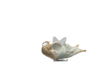 1999 Hallmark Keepsake Ornament -Angel of Hope
