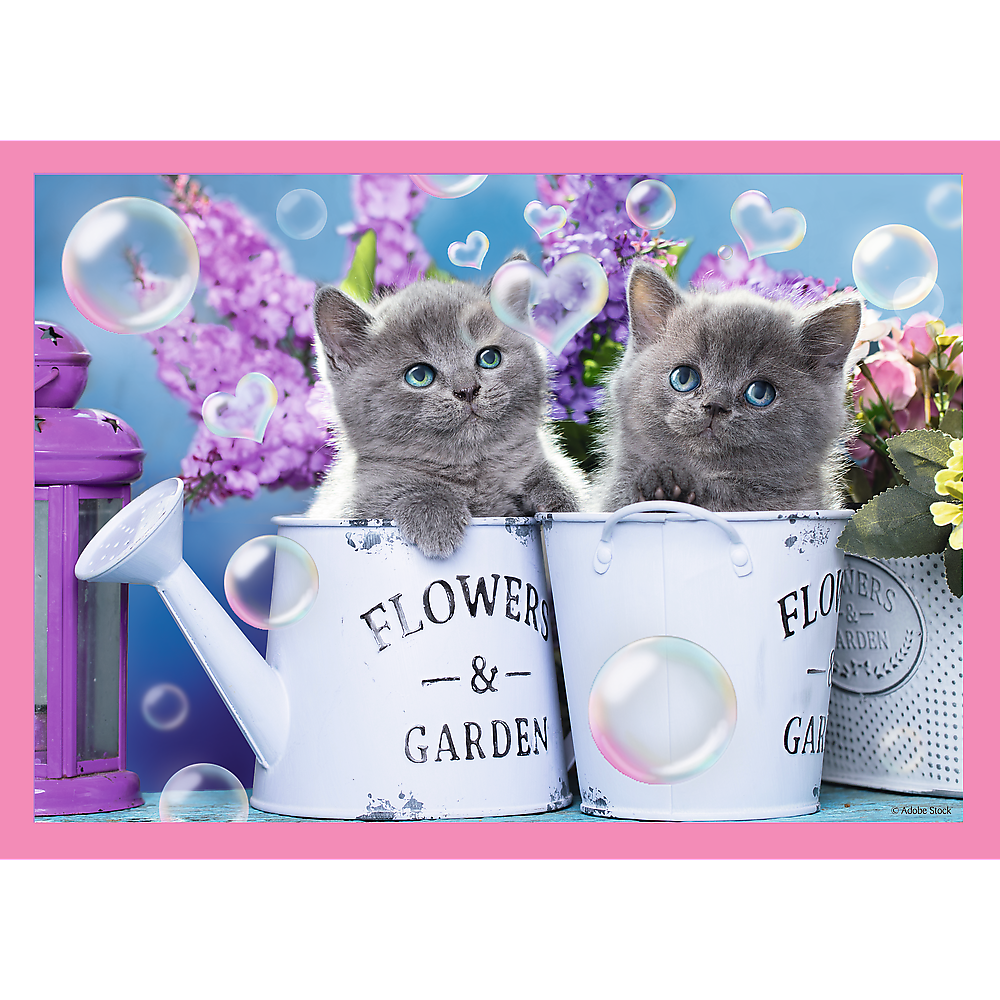 Preschool 4 in 1 Puzzle - Fun cats